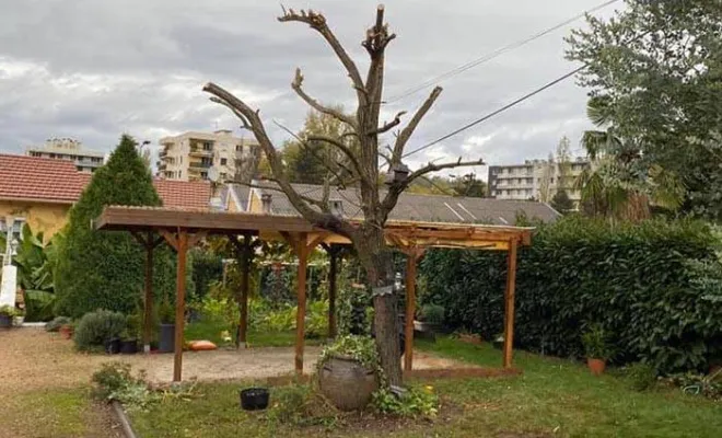 Travaux de maçonnerie paysagère, Bourgoin-Jallieu, Martins Espaces Verts